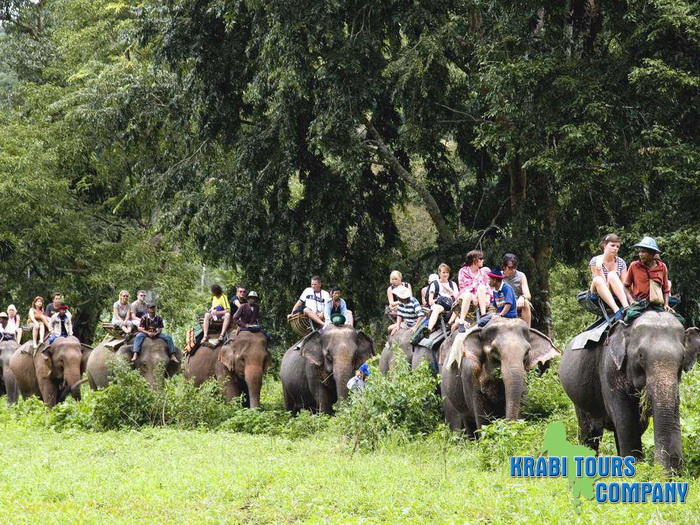 Krabi Elephant Trekking Program B